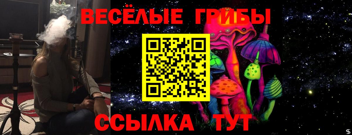 Галлюциногенные грибы Magic Shrooms  Вход с VPN  Борзя 